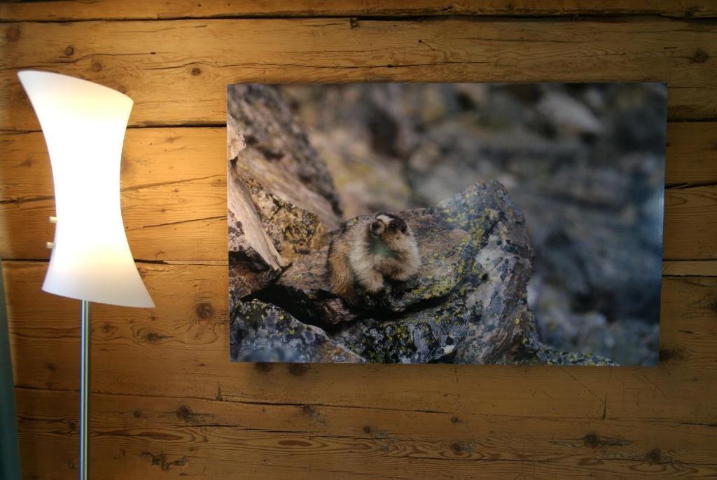 Boutique Hotel The River House Andermatt Ruang foto